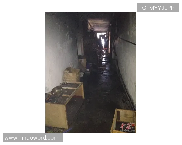 维尼修斯家中火灾调查揭示地下室桑拿房成起火源头