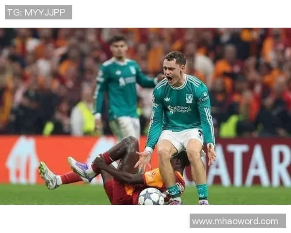 鲁尼赞维尔茨进步显著认为他只需时间适应英超环境