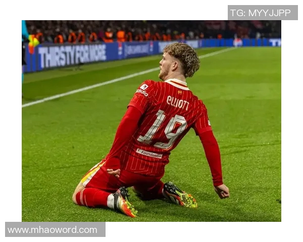 前CEO：利物浦与维拉需关注埃利奥特出场机会不足的责任问题